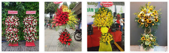 Hoa chúc mừng