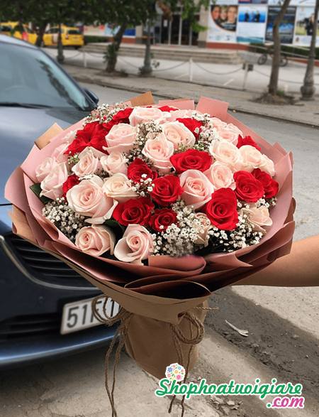 hoa chúc mừng hoa chúc mừng