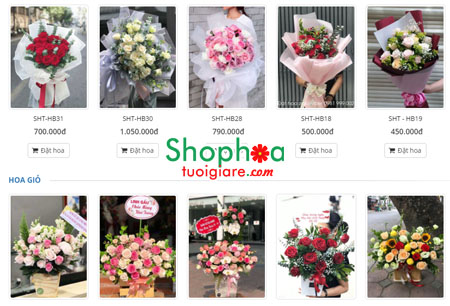 Xin địa chỉ shop hoa tươi quận Tân Bình TP HCM