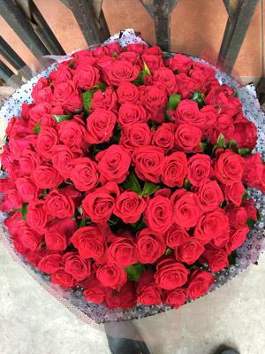99 bông hồng đỏ đẹp