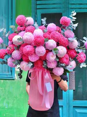 Bình cúc mẫu đơn đẹp