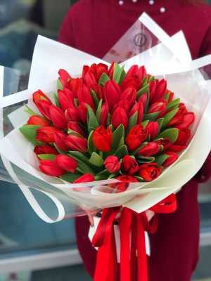 Địa chỉ mua hoa tuylip Hà Nội