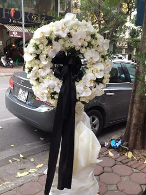 Hoa tang lễ lan hồ điệp