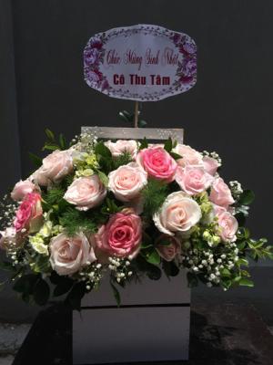 Hoa tươi giá rẻ
