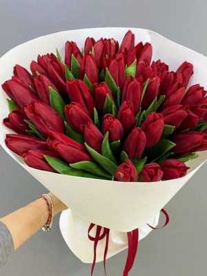 Bó hoa chúc mừng tuylip đỏ