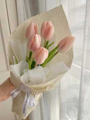 Hoa tuylip Hà Nội