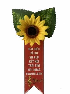 Mẫu Hoa Cai Áo Đại Biểu Đẹp