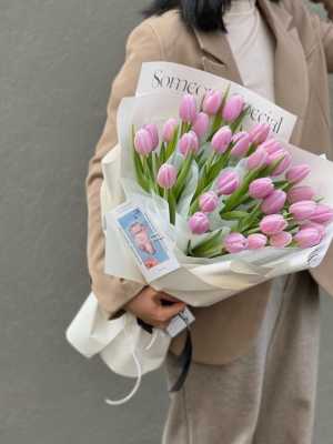 Mua hoa tuylip ở đâu